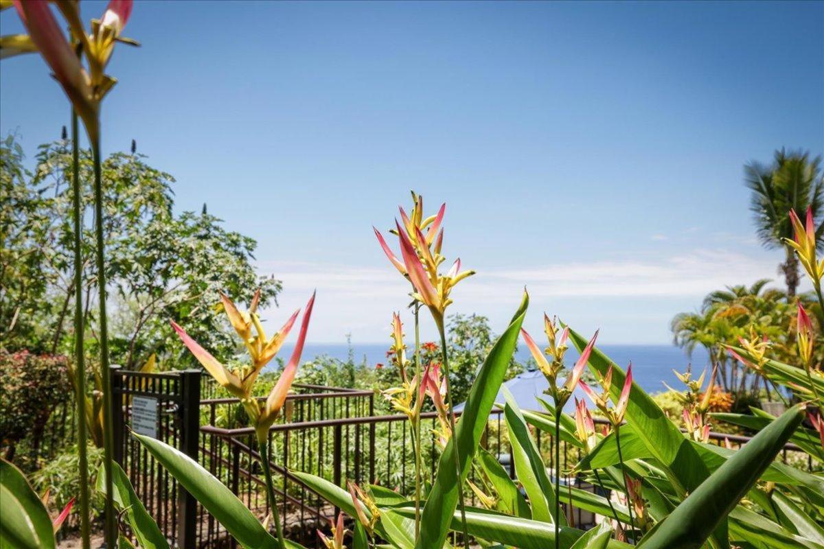 Kona Westwind 1 New! Quiet Ocean-View 1St Floor | Patio | Pool Villa Kailua-Kona Exterior photo